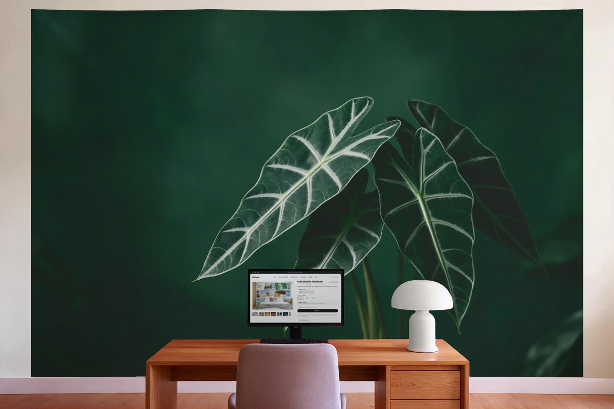 Tapiz de pared XXL Hojas de alocasia sobre fondo oscuro como decoración en la oficina detrás del escritorio