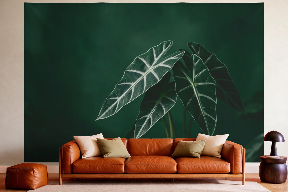 Decoración de pared en un salón acogedor sobre el sofá de cuero: tapiz de tela Hojas de alocasia sobre fondo oscuro