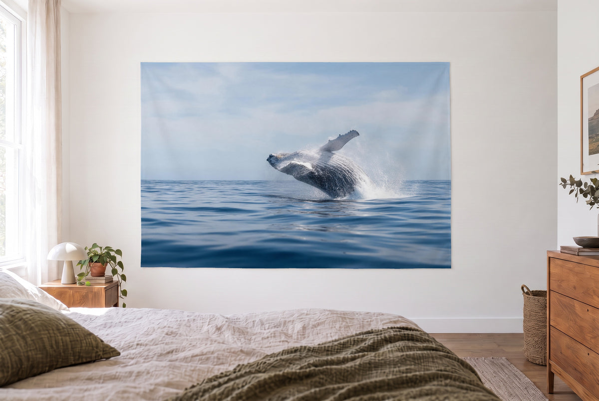Wandtuch Buckelwal springt aus dem Meer im hellen Schlafzimmer gegenüber dem Bett, rechts eine Holzkommode – Blau und Weiss