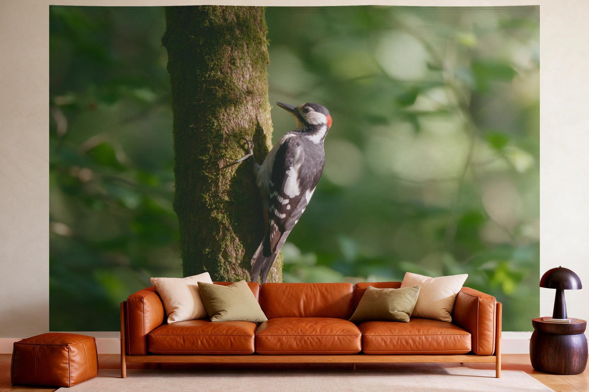 Wandtuch XXL Buntspecht am Baumstamm als Wanddeko im gemütlichen Wohnzimmer über dem Ledersofa