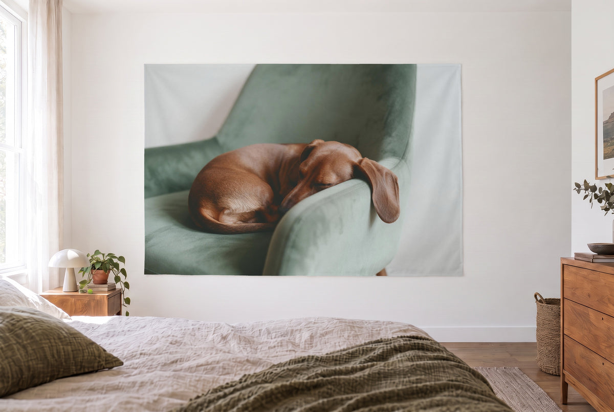 Wandtuch Schlafender Dackel im Sessel im hellen Schlafzimmer gegenüber dem Bett, rechts eine Holzkommode – Braun und Grün