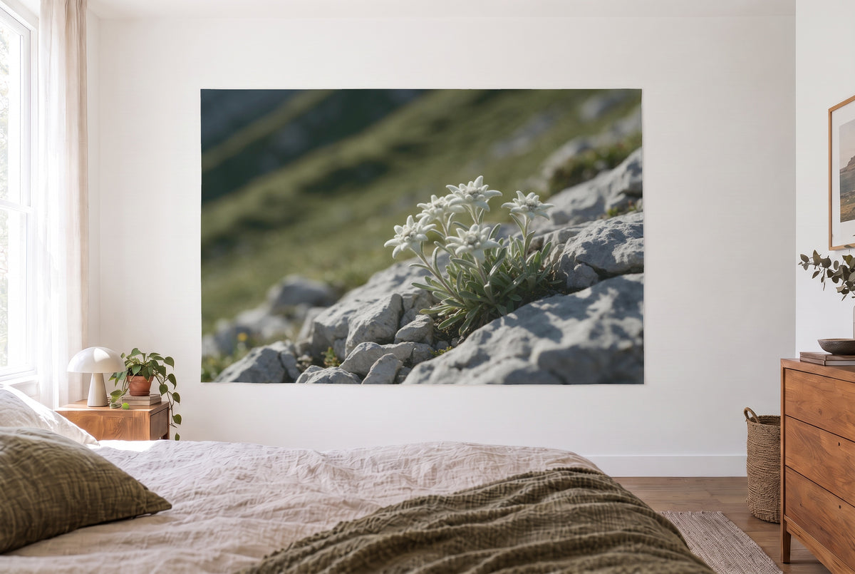 Tenture murale edelweiss entre les rochers dans la chambre claire face au lit, commode en bois à droite – blanc et vert