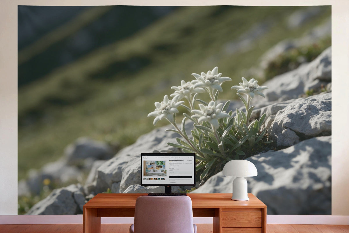 Déco murale dans le bureau derrière la table de travail : tenture murale Edelweiss entre les rochers, imprimée sur tissu