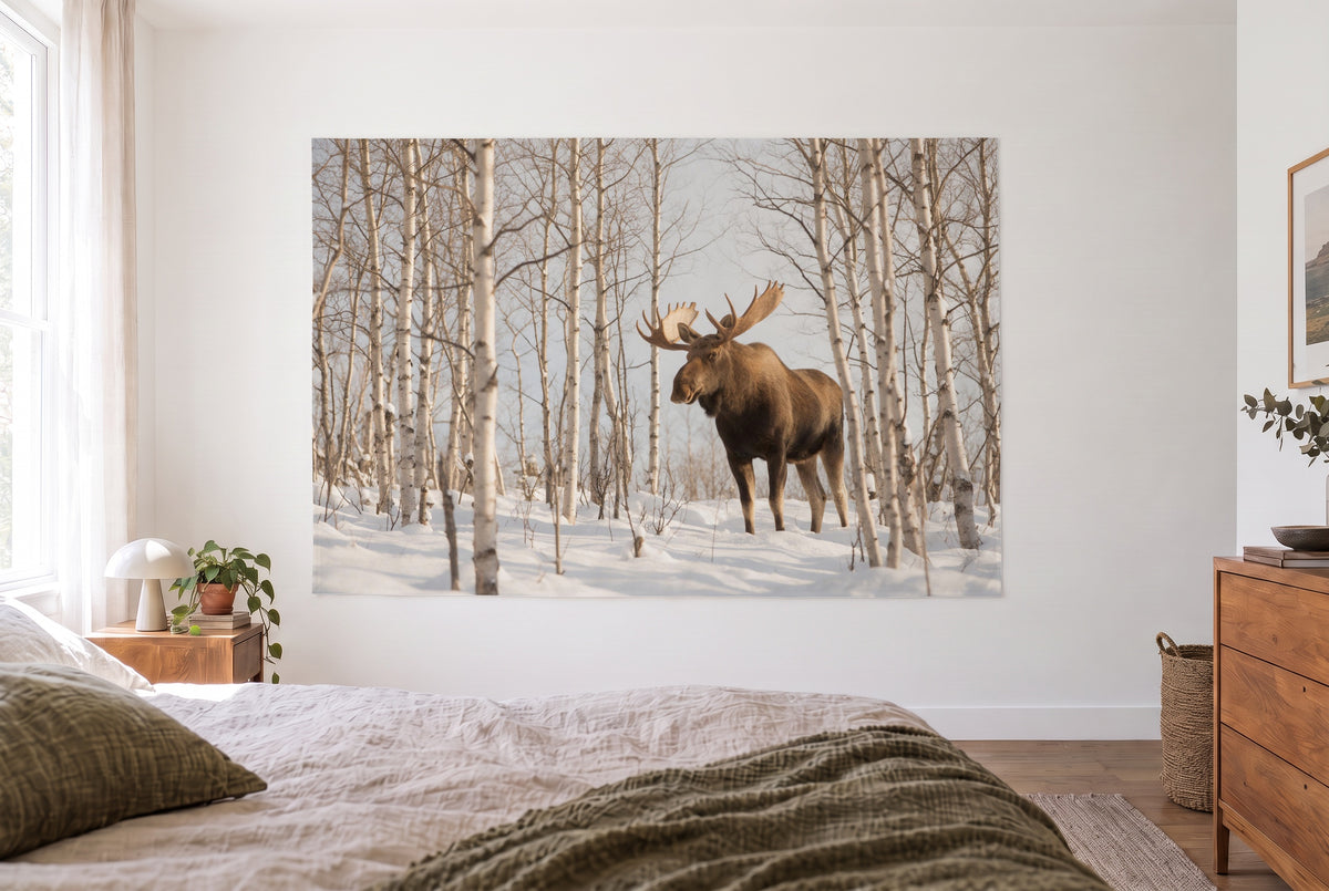 Moose among snowy birches tapestry in a bright bedroom opposite the bed, wooden dresser on the right – brown