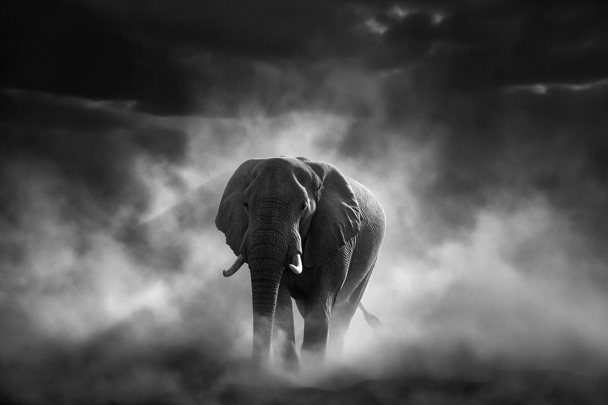 Elephant in swirling dust with pale tusks under dark clouds, tapestry printed on fabric – grey