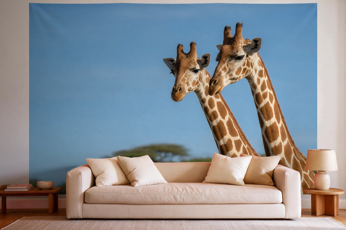 Tenture murale XXL Girafes en portrait en déco murale dans un salon lumineux au-dessus du canapé
