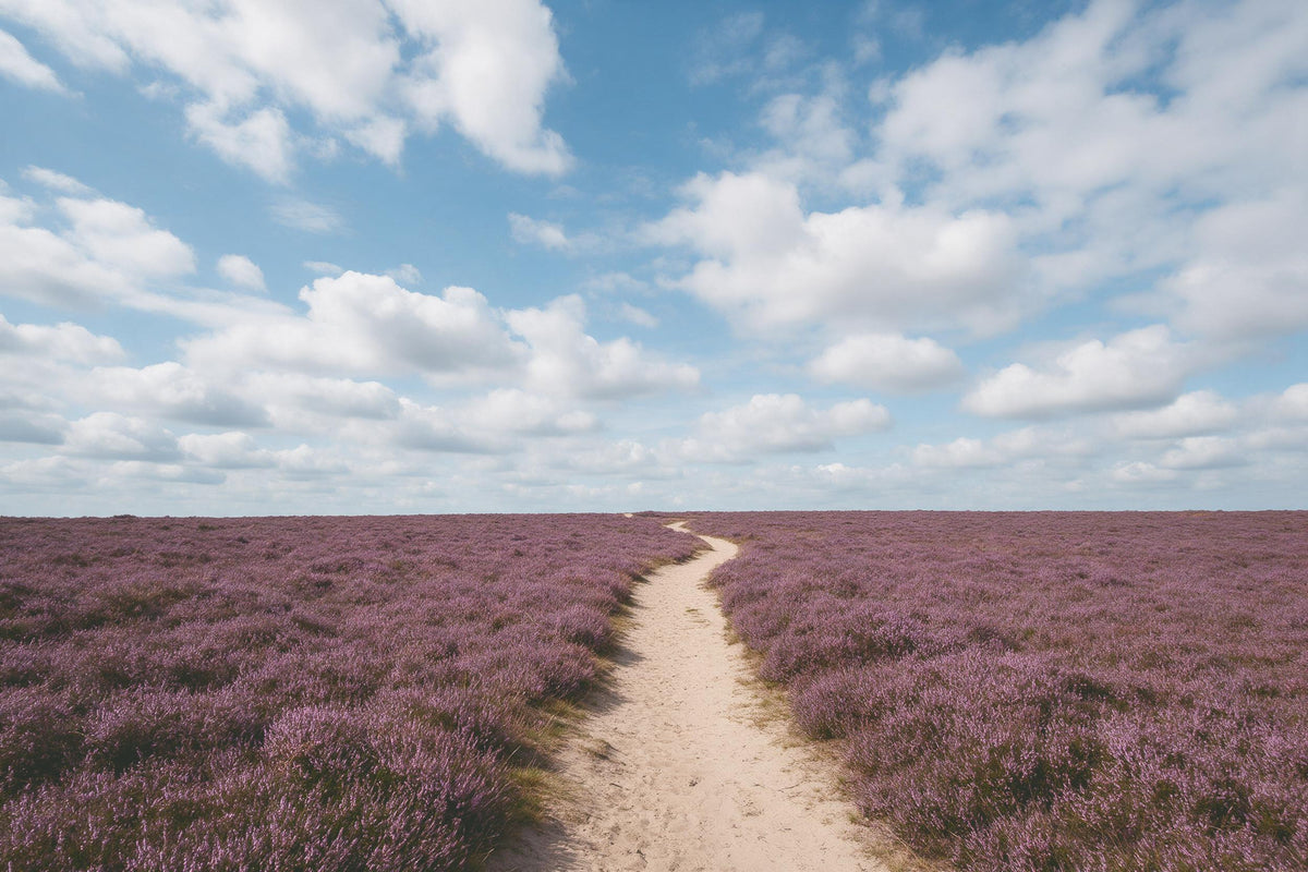 Blauer Wolkenhimmel mit Cumuluswolken über violetter Heide, als Wandtuch, auf Stoff gedruckt – Blau und Violett