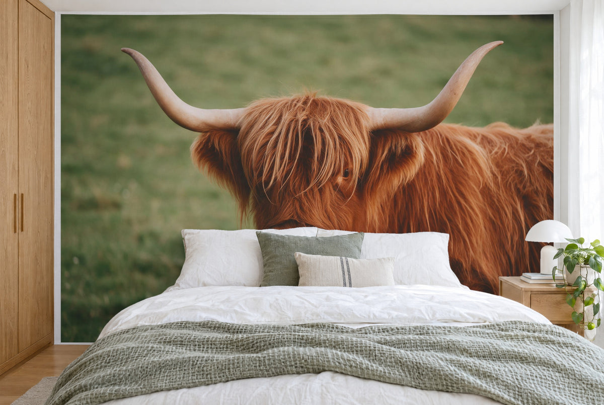 XXL printed fabric: highland cow with light horns in the centre before a green pasture, filling the wall behind the bed