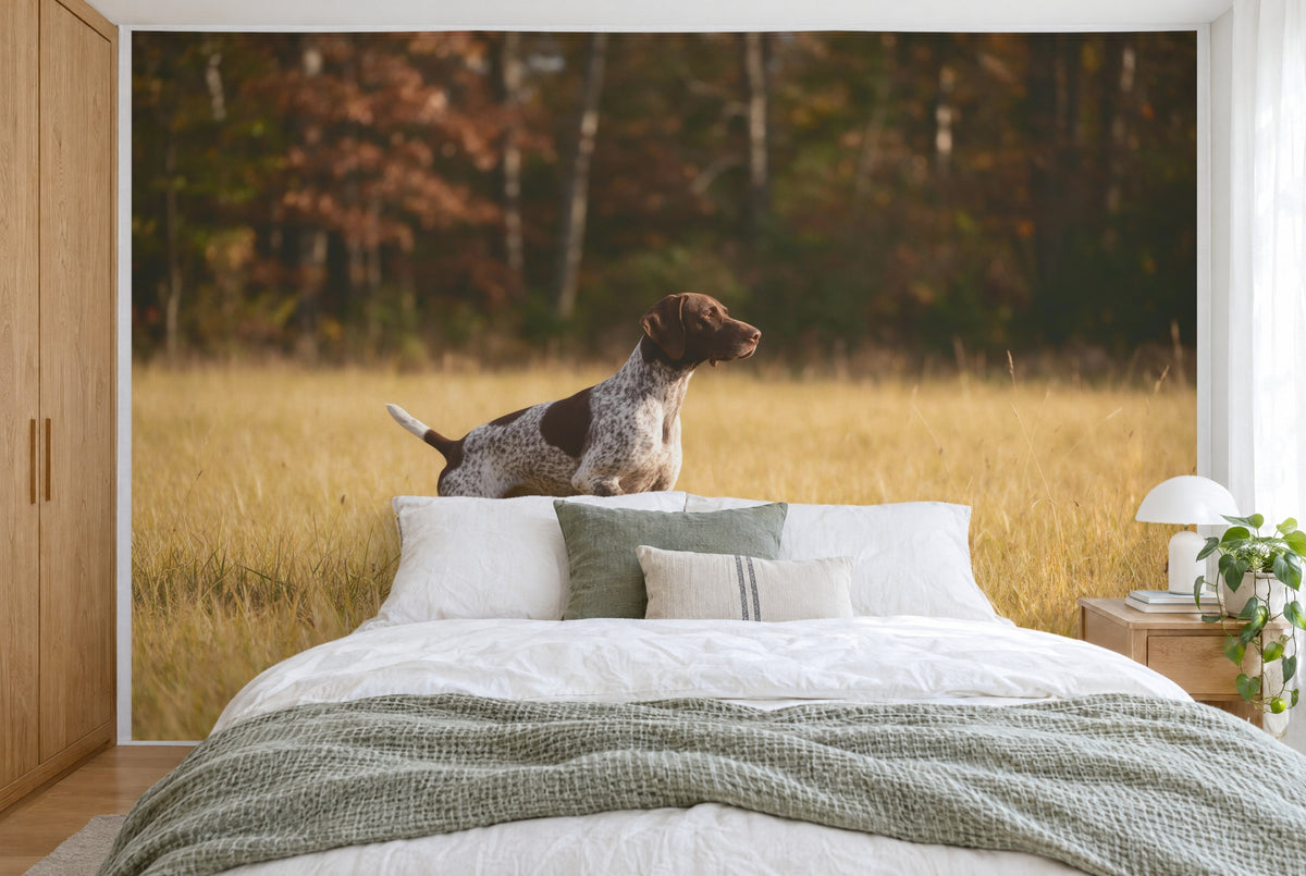XXL printed fabric: spotted pointer on the left in yellow grass by an autumn forest, filling the wall behind the bed