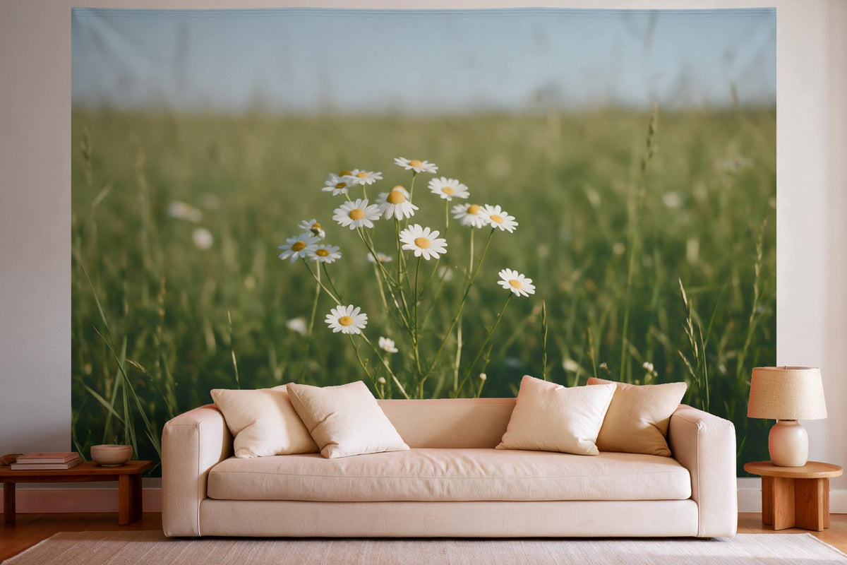 Wandtuch XXL Kamillenblüten auf der Wiese als Wanddeko im hellen Wohnzimmer über dem Sofa