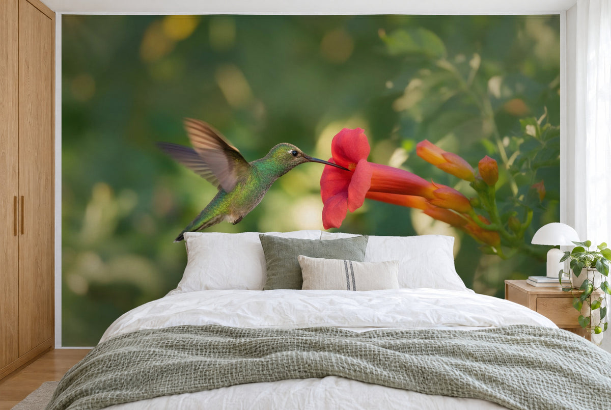Tissu imprimé XXL : colibri vert à gauche contre une fleur rouge en trompette, feuillage flou, mur entier derrière le lit