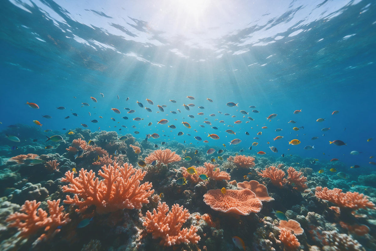 Unterwasserwelt mit Korallenriff und Fischschwärmen unter Lichtstrahlen, als Wandtuch, auf Stoff gedruckt – Blau und Orange