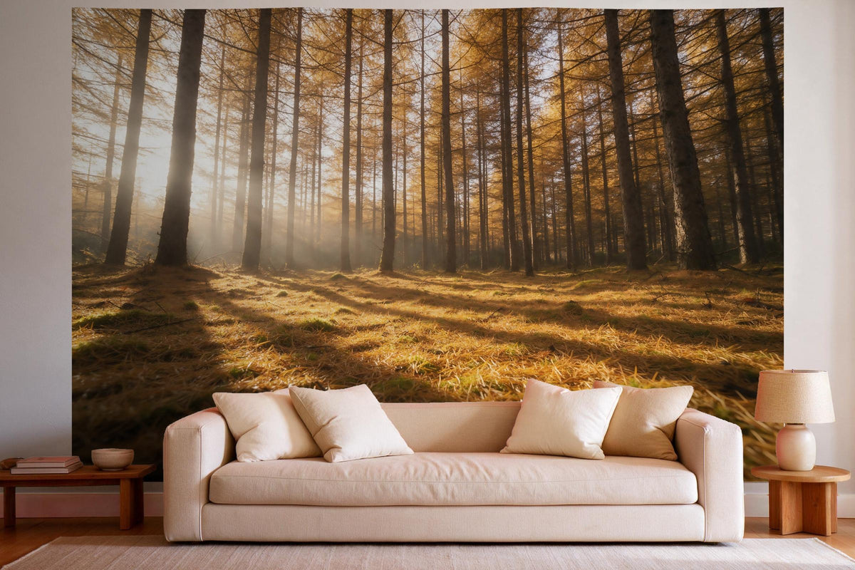Tapiz de pared XXL Bosque de alerces con alfombra de agujas doradas como decoración en un salón luminoso sobre el sofá