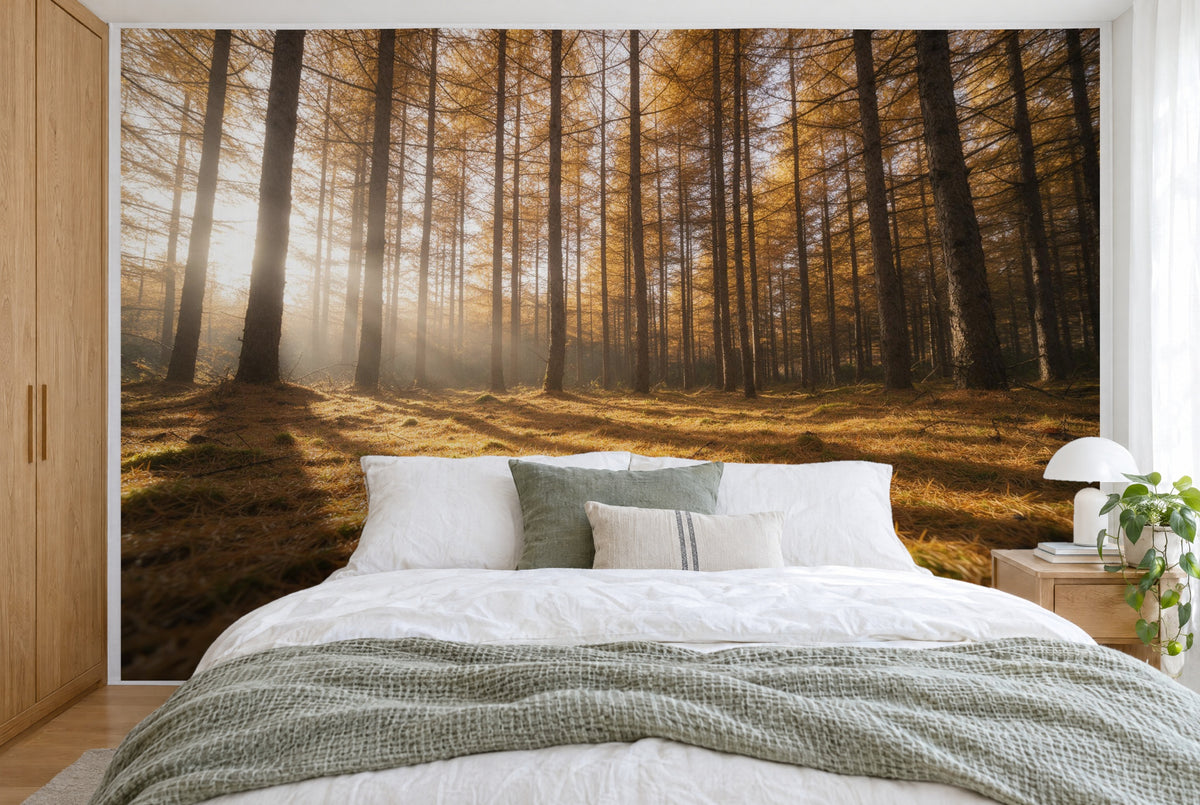Tapiz de pared grande Bosque de alerces con alfombra de agujas doradas en el dormitorio, cubriendo la pared detrás de la cama – tela impresa