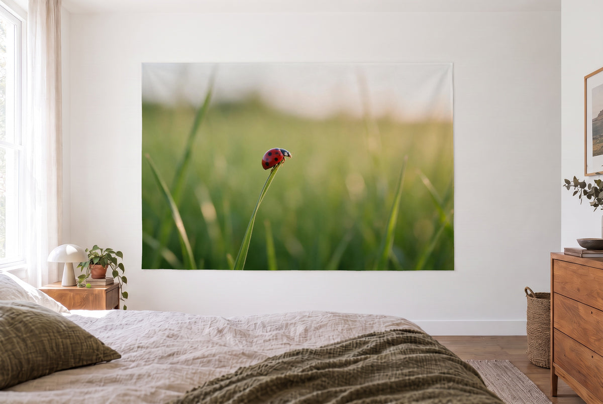 Ladybird on a blade of grass tapestry in a bright bedroom opposite the bed, wooden dresser on the right – red and green