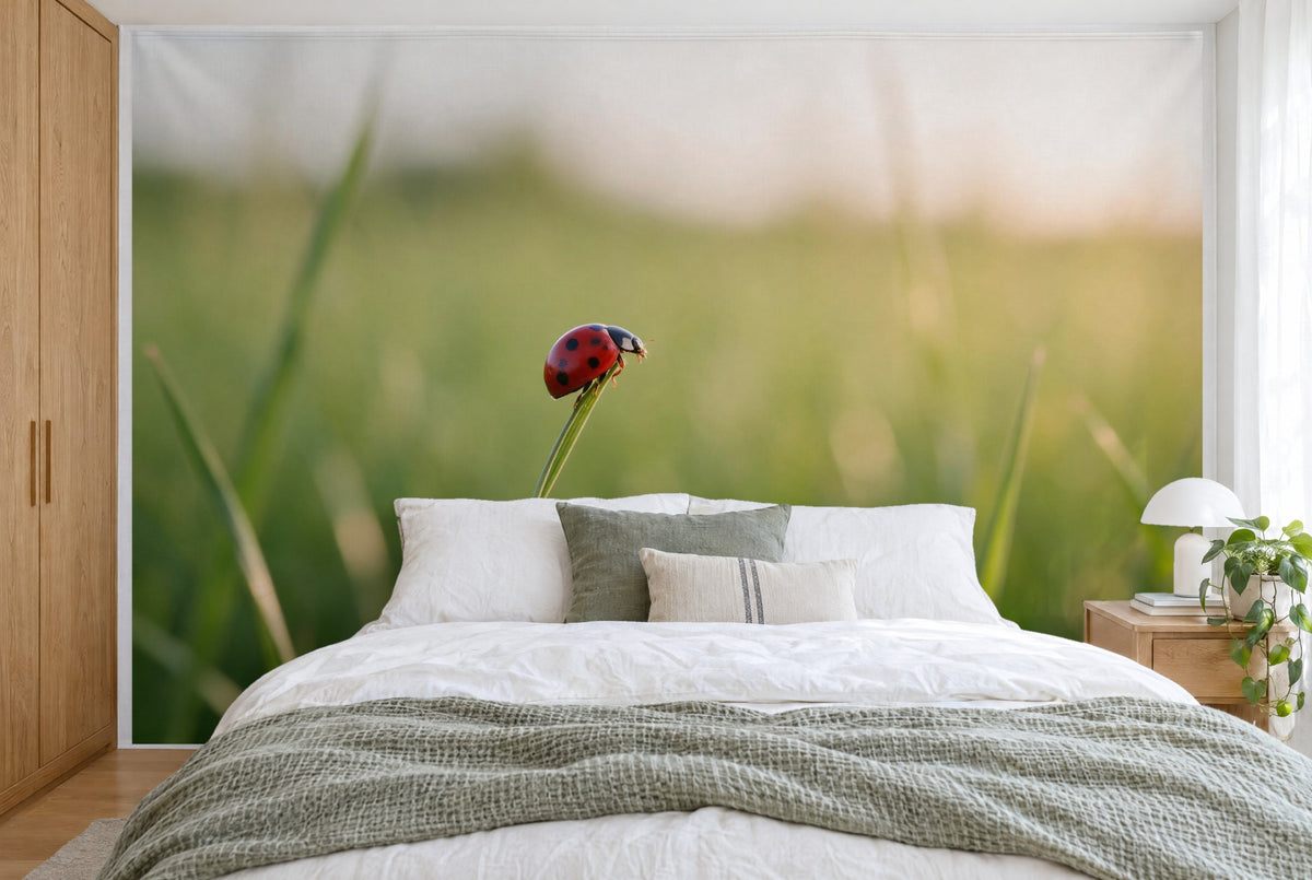 XXL printed fabric: red ladybird on the left on a grass blade, soft summer meadow, filling the wall behind the bed