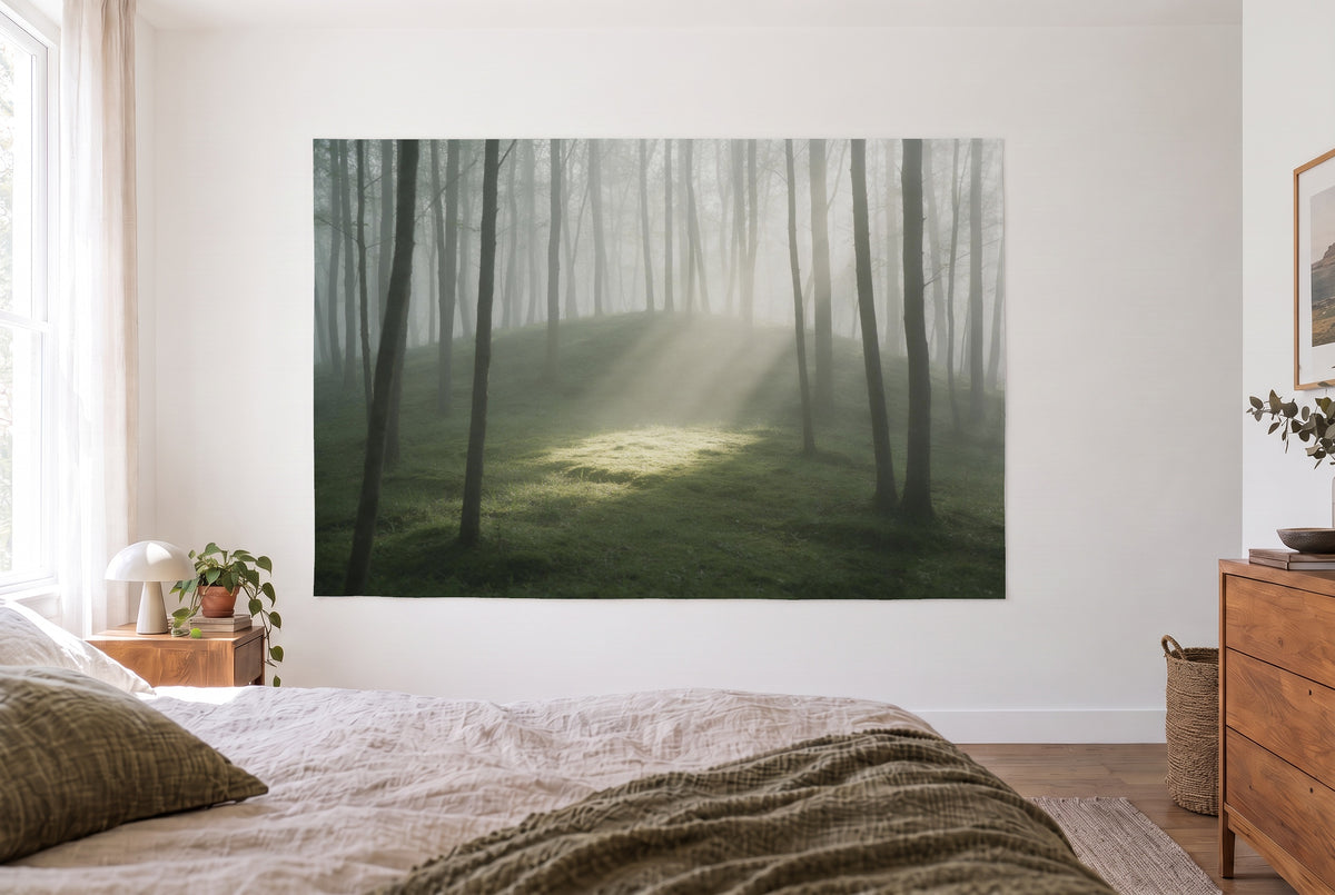 Wandtuch Nebelwald mit Lichtstrahlen im hellen Schlafzimmer gegenüber dem Bett, rechts eine Holzkommode – Grün und Grau