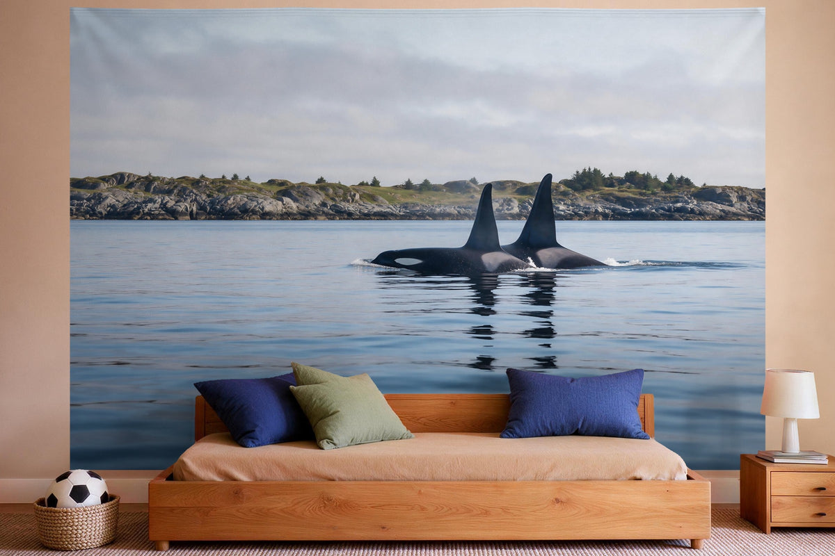 Tapiz de pared XXL Orcas frente a la costa rocosa como decoración en un dormitorio de niño
