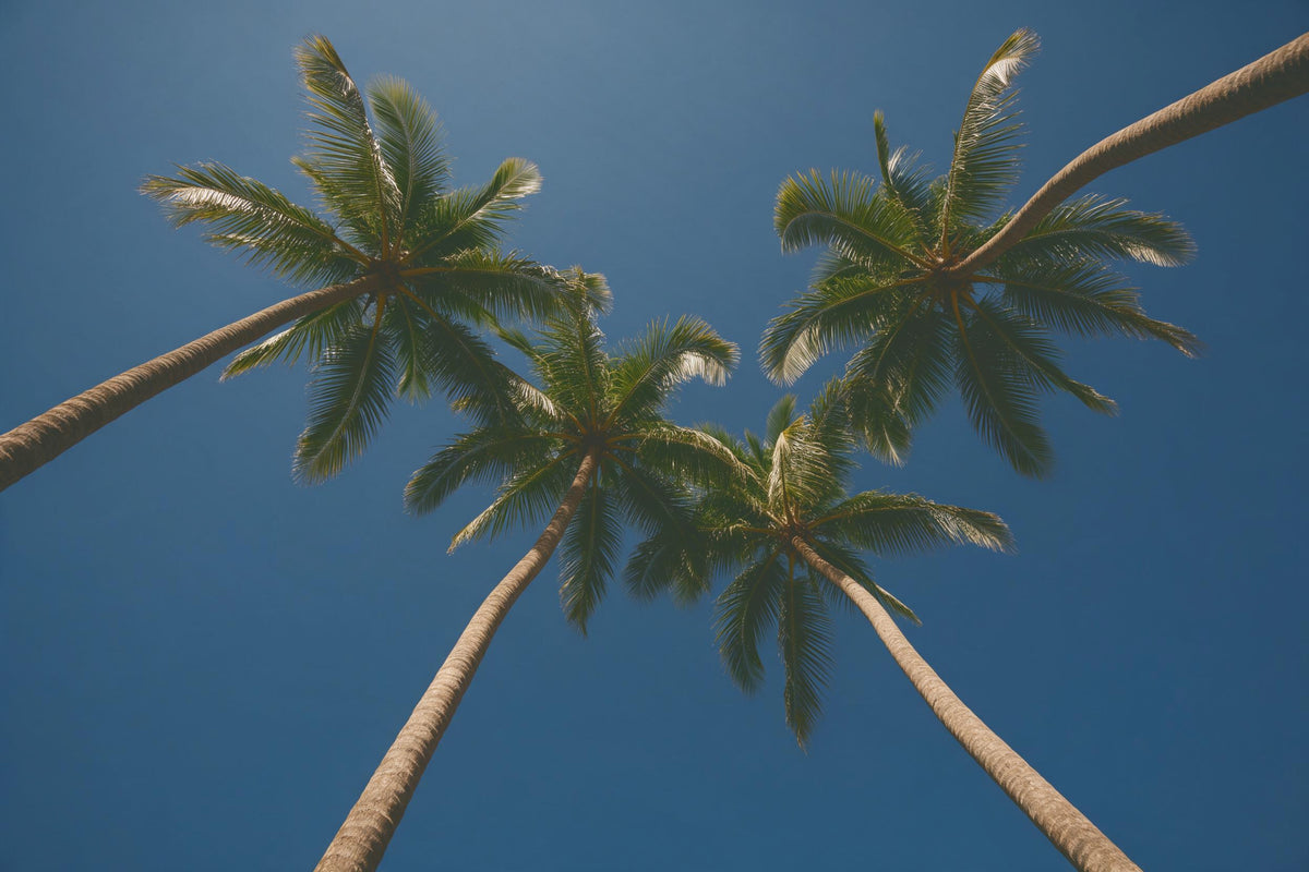 Palmenkronen aus der Froschperspektive vor tiefblauem Himmel, als Wandtuch, auf Stoff gedruckt – Blau und Grün