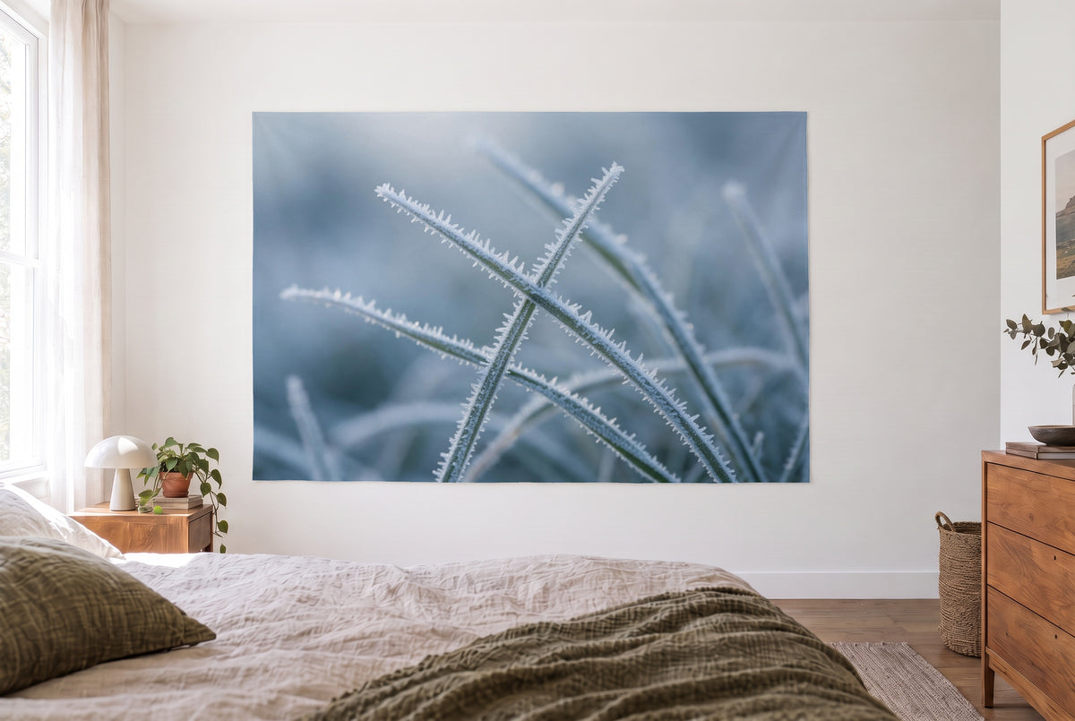 Wandtuch Raureif auf Gräsern im Winter im hellen Schlafzimmer gegenüber dem Bett, rechts eine Holzkommode – Eisblau