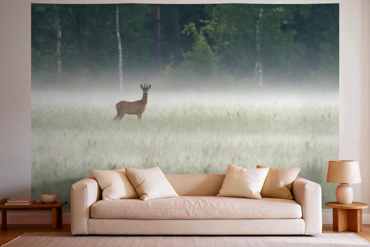 Tapiz de pared XXL Corzo en la niebla al borde del bosque como decoración en un salón luminoso sobre el sofá