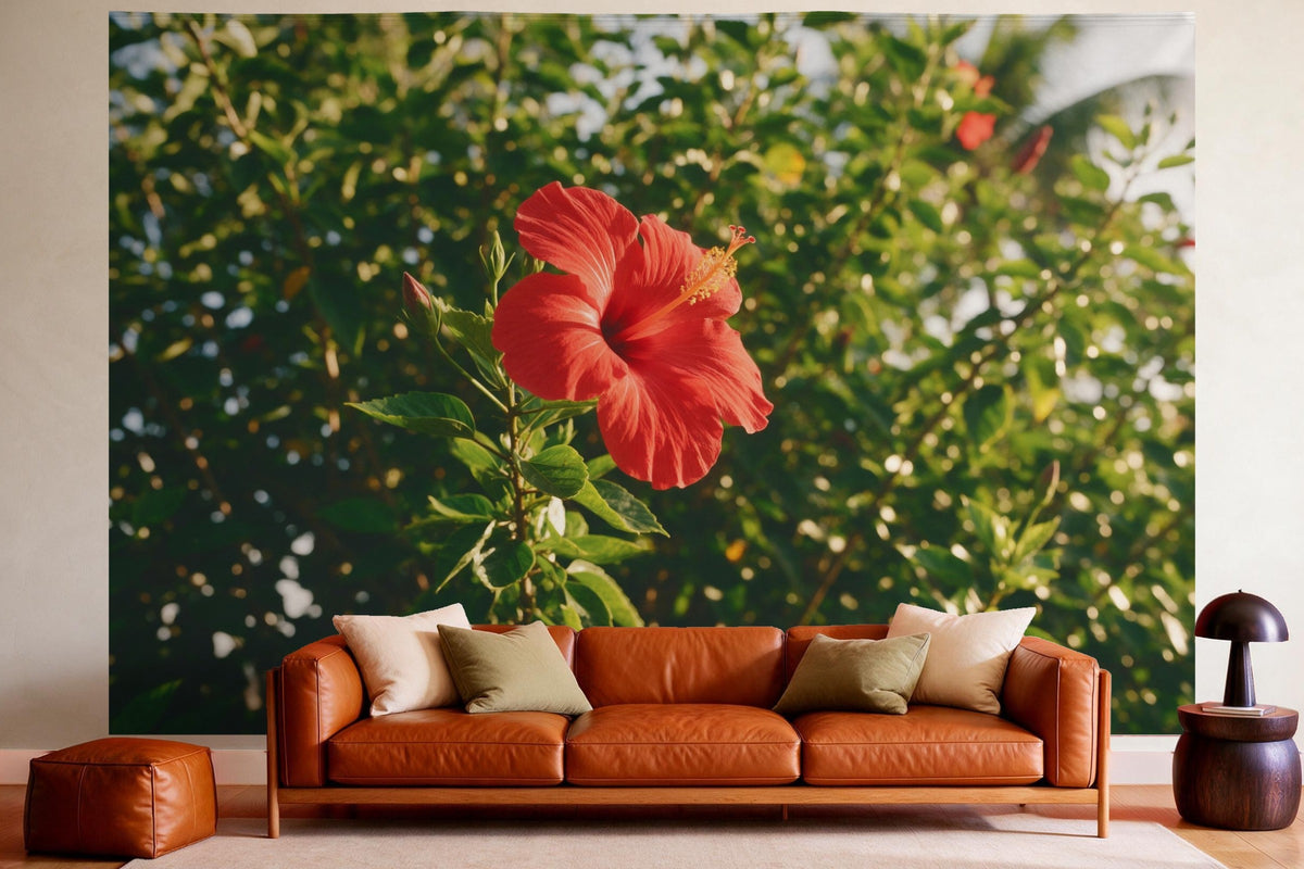 Tapiz de pared XXL Flor de hibisco roja como decoración en un salón acogedor sobre el sofá de cuero