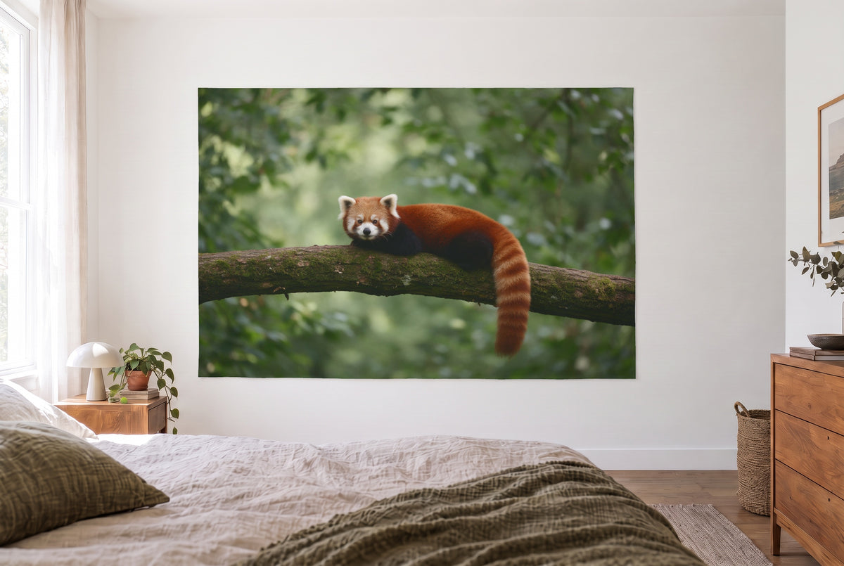 Wandtuch Roter Panda auf dem Ast im hellen Schlafzimmer gegenüber dem Bett, rechts eine Holzkommode – Rot, Grün und Braun