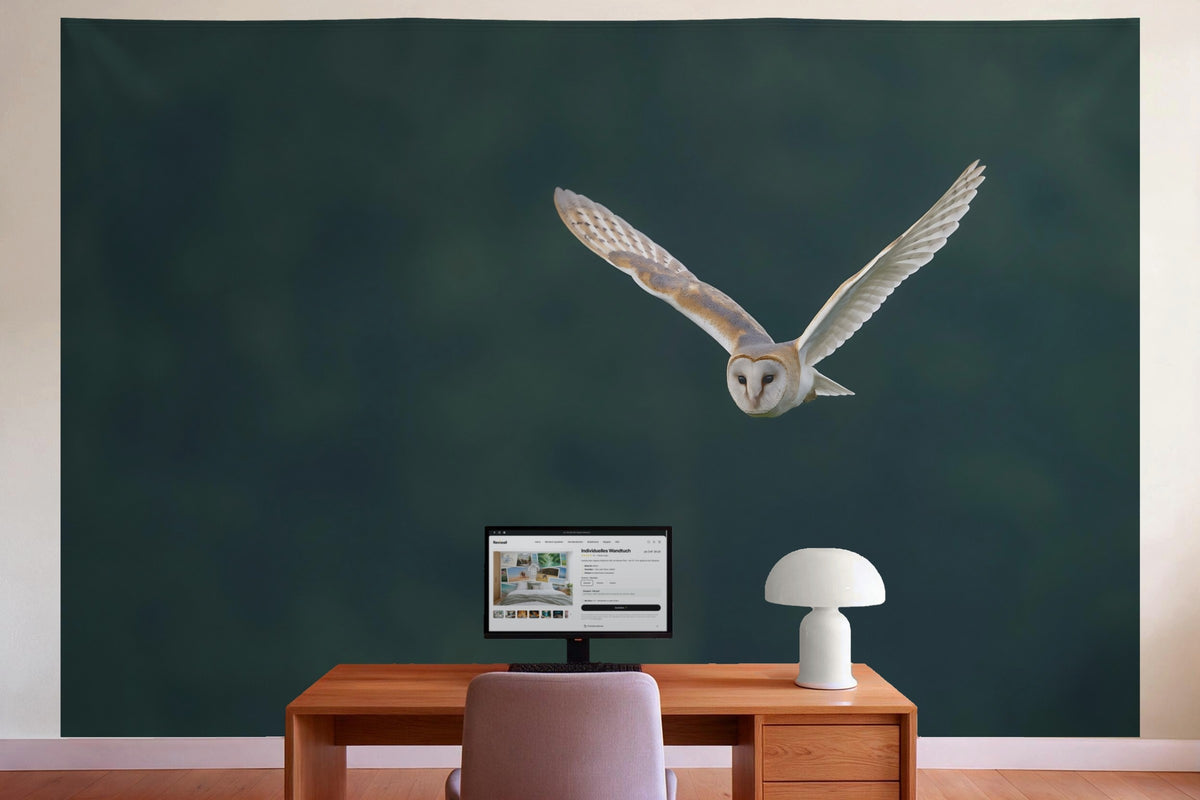 Déco murale dans le bureau derrière la table de travail : tenture murale Chouette effraie en vol, imprimée sur tissu