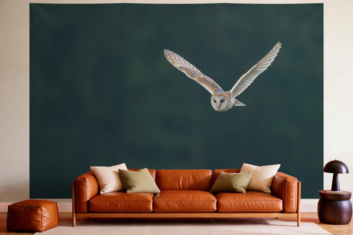 Tenture murale XXL Chouette effraie en vol en déco murale dans un salon chaleureux au-dessus du canapé en cuir