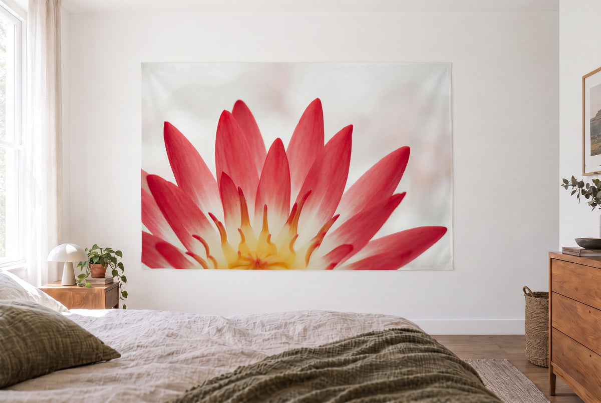 Wandtuch Seerosenblüte in Nahaufnahme im hellen Schlafzimmer gegenüber dem Bett, rechts eine Holzkommode – Rot und Gelb