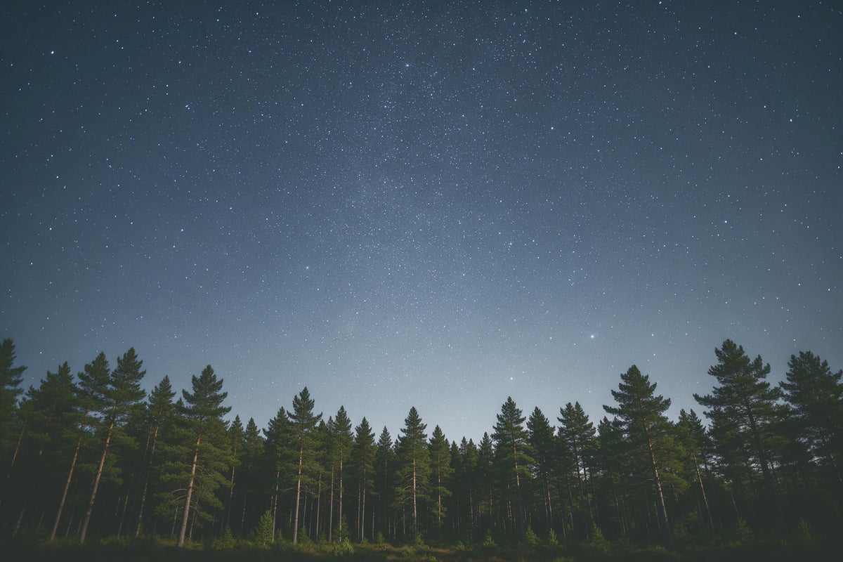 Sternenhimmel klar über dunklem Kiefernwald mit ruhigem Kronenhorizont, als Wandtuch, auf Stoff gedruckt – Blau und Grün