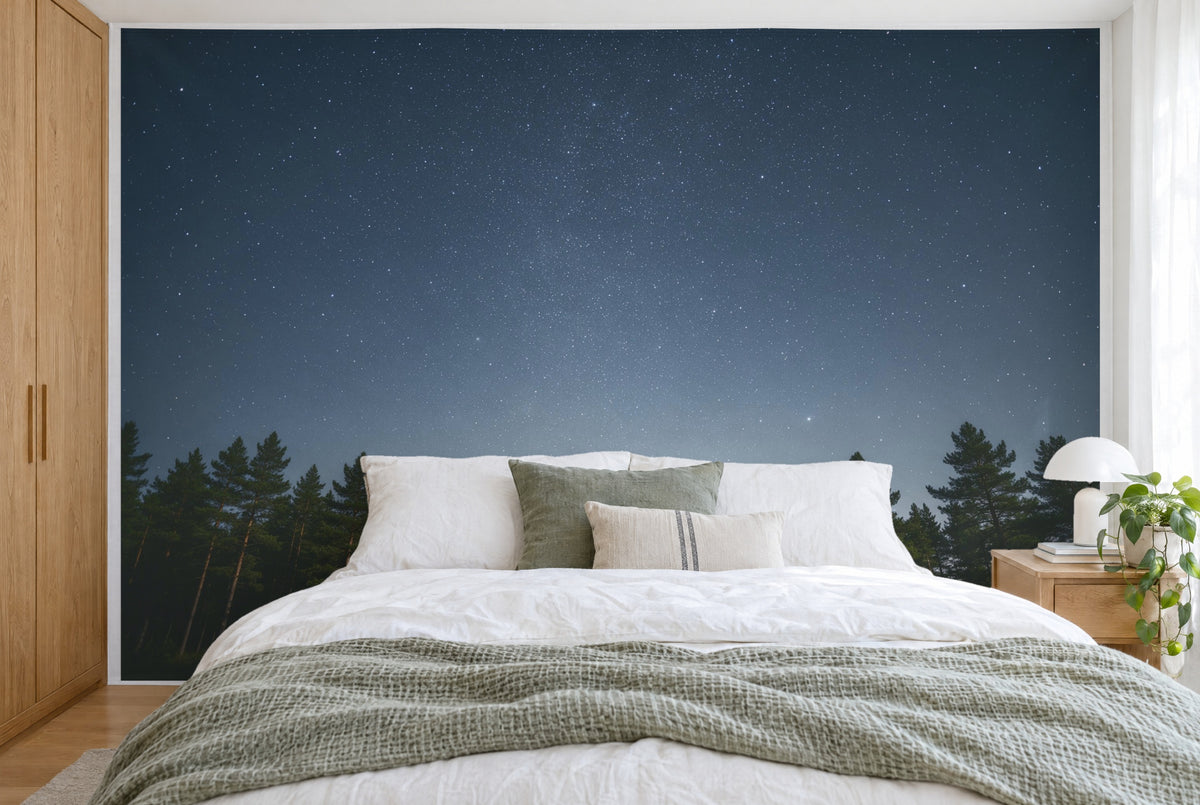 Bedruckter Stoff im XXL-Format: klarer Sternenhimmel über Kiefernkronen, wandfüllend hinter dem Bett