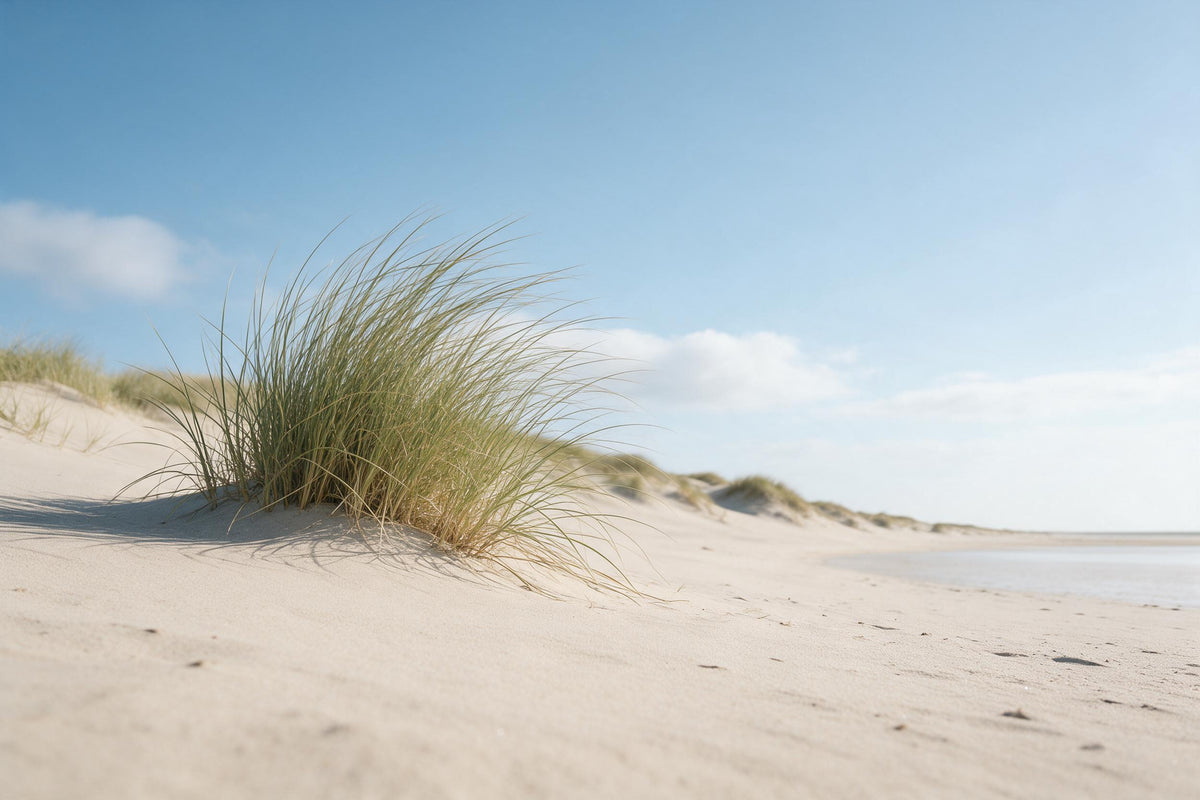 Dunes with a large tuft of marram grass on the left under a light blue sky, tapestry printed on fabric – beige and green