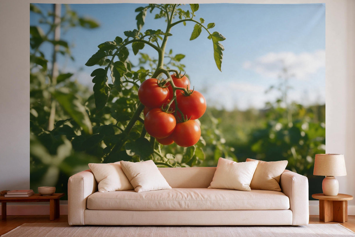 Wandtuch XXL Tomaten an der Staude als Wanddeko im hellen Wohnzimmer über dem Sofa