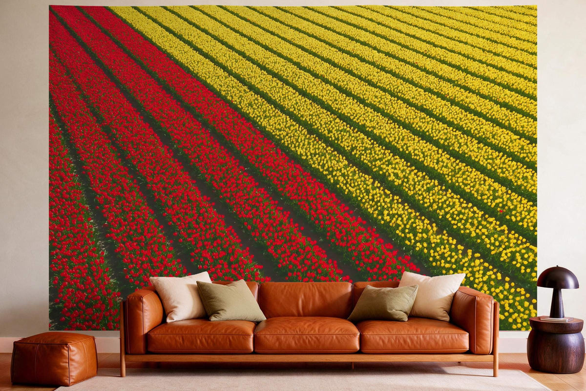 Tapiz de pared XXL Campo de tulipanes desde el aire como decoración en un salón acogedor sobre el sofá de cuero