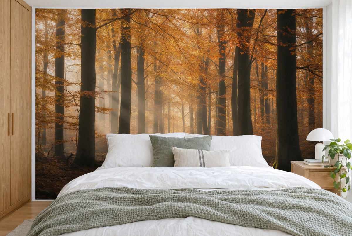 XXL printed fabric: golden beech crowns and rays of light above the leafy path, filling the wall behind the bed