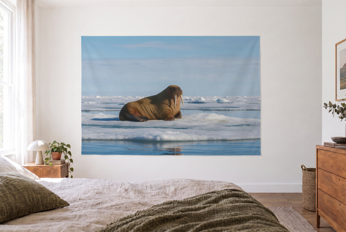 Walrus on the ice tapestry in a light bedroom opposite the bed, wooden dresser on the right – brown and blue