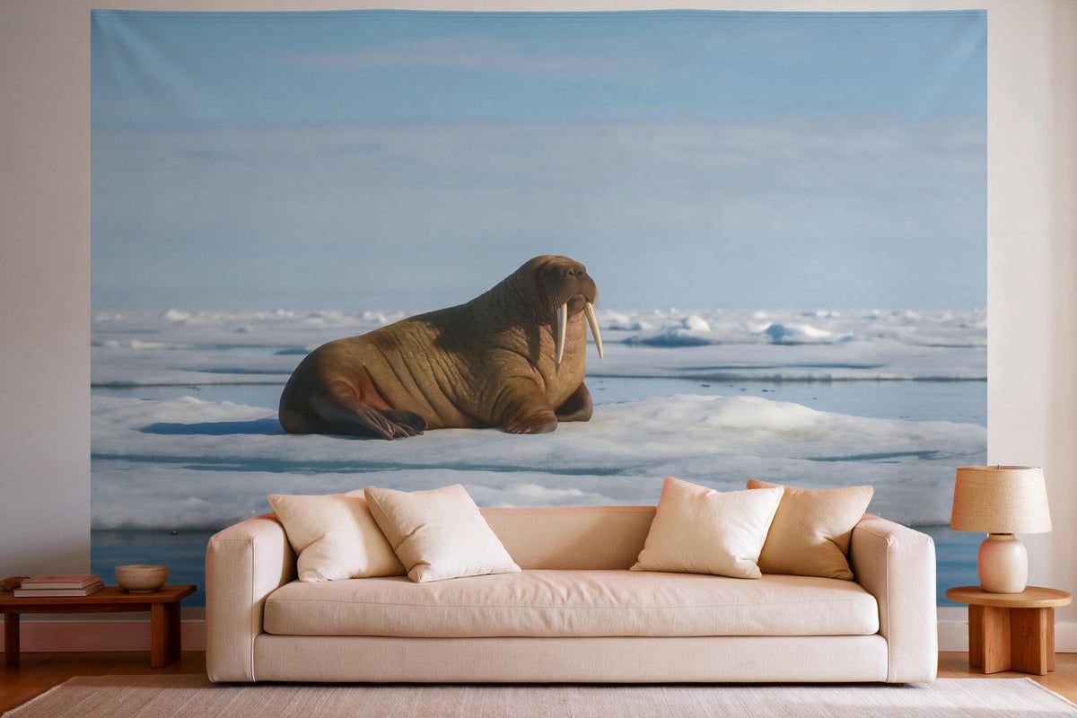 Wandtuch XXL Walross auf dem Eis als Wanddeko im hellen Wohnzimmer über dem Sofa