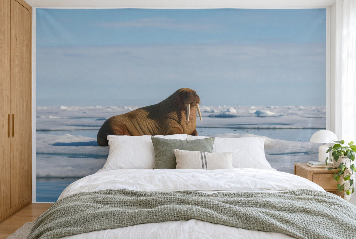 XXL printed fabric: walrus left of centre on the ice floe, ice and sky, filling the wall behind the bed