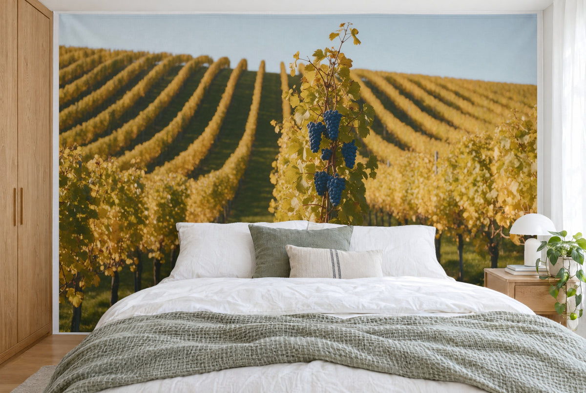 Tissu imprimé XXL : cep avec raisins bleus à droite du centre, rangs de vignes dorés, mur entier derrière le lit