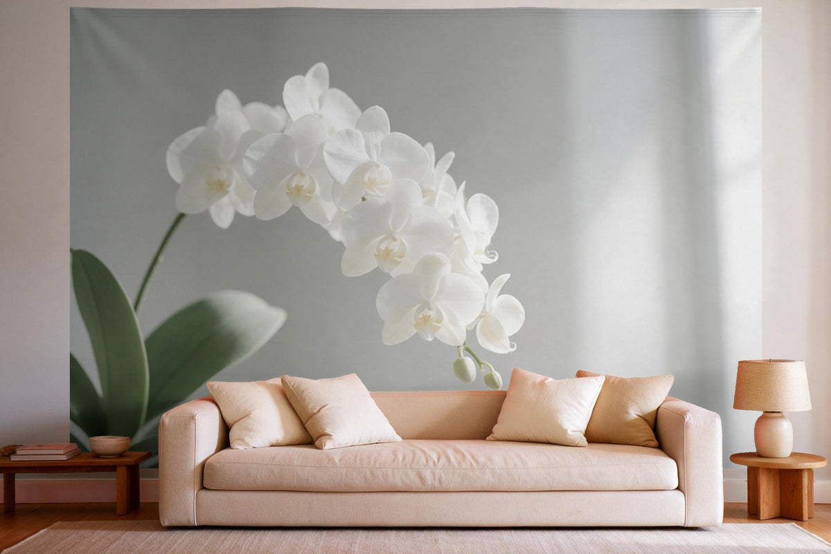 Tenture murale XXL Hampe d'orchidée blanche en déco murale dans un salon lumineux au-dessus du canapé
