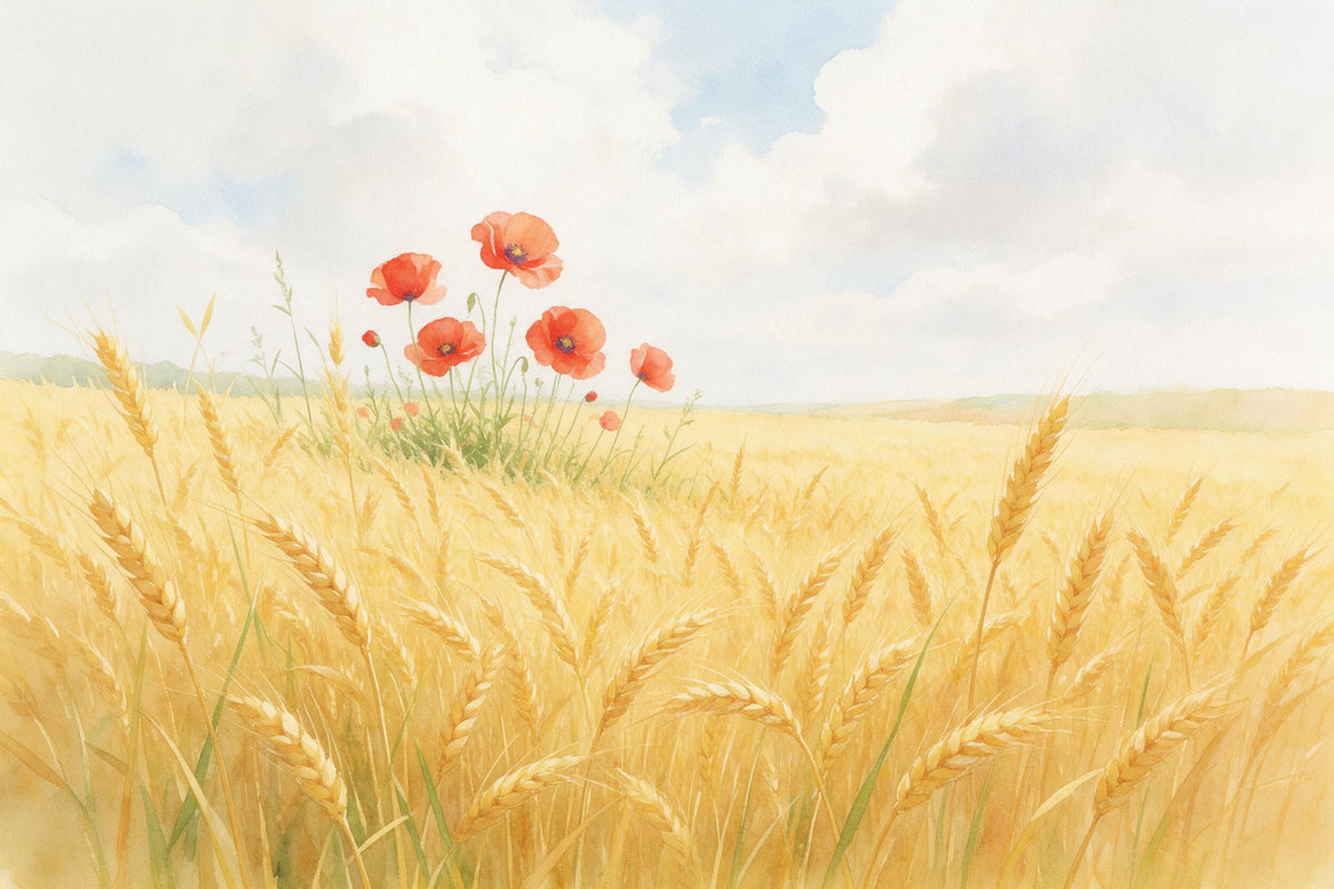 Weizenfeld mit rotem Klatschmohn am Feldrain unter Wolkenhimmel, als Wandtuch, auf Stoff gedruckt – Gelb und Rot