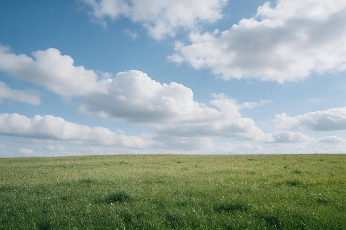 Vaste ciel nuageux bleu aux doux cumulus sur prairie d'été, tenture murale imprimée sur tissu – bleu et vert