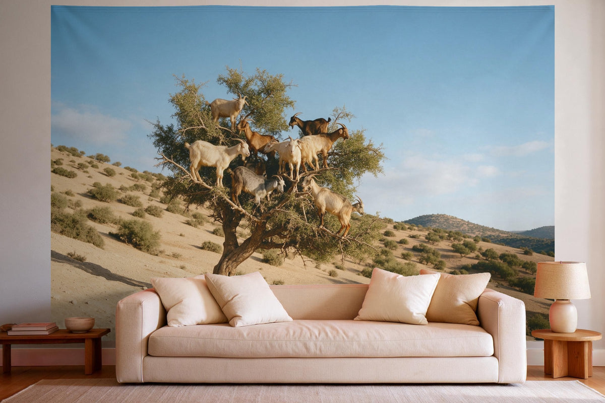Tapiz de pared XXL Cabras en el árbol de argán como decoración en un salón luminoso sobre el sofá