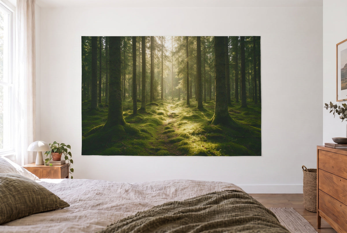 Wandtuch Motiv auswählen: Moosiger Fichtenwald mit Lichtflecken als Wandtuch