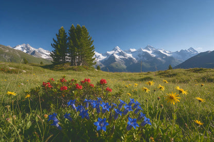 Prairie alpine avec gentianes et rhododendrons devant sommets enneigés, tenture murale imprimée sur tissu – bleu et vert