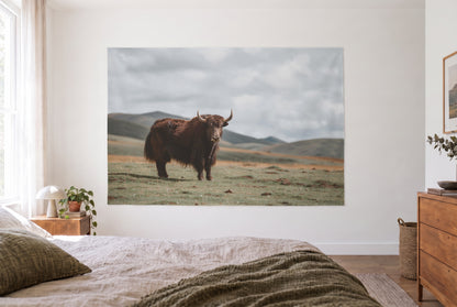 Yak in the highlands tapestry in the bright bedroom opposite the bed, wooden dresser at right – brown, green and grey