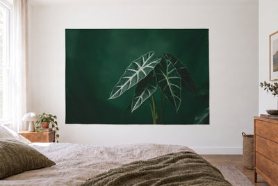 Tenture murale feuilles d'alocasia sur fond sombre dans la chambre claire face au lit, commode en bois à droite – vert