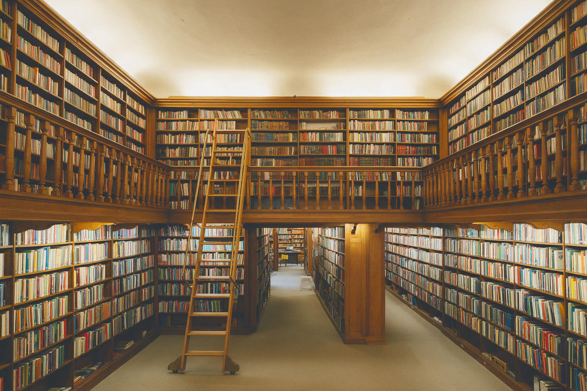 Bibliothèque à galerie en bois et échelle roulante, hauts murs de livres, tenture murale imprimée sur tissu – brun et blanc