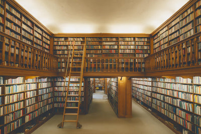 Bibliothèque à galerie en bois et échelle roulante, hauts murs de livres, tenture murale imprimée sur tissu – brun et blanc